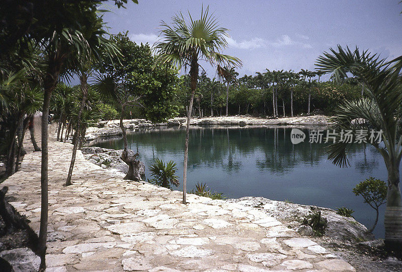 Xel-Ha karst石灰石波多黎各华雷斯和墨西哥Chetumal